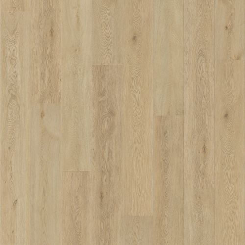 Marvel V504 Canopy